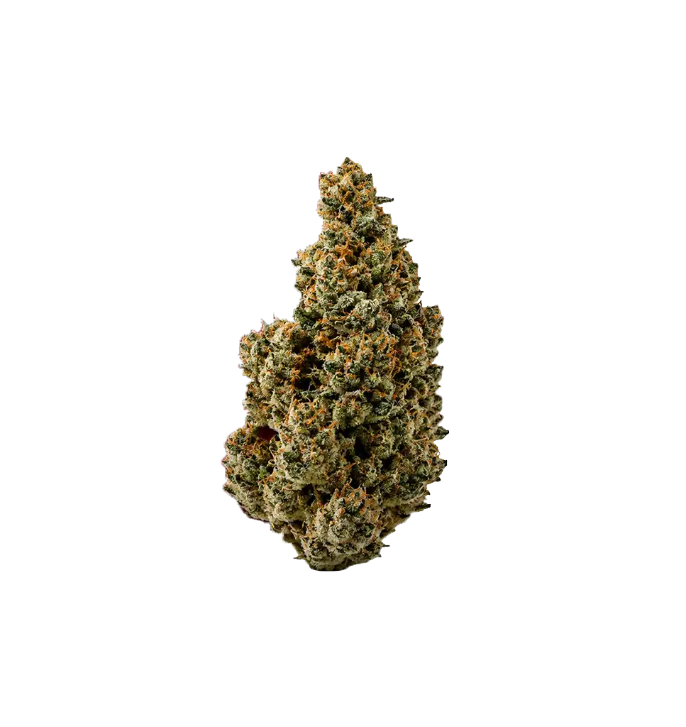 Ronald'og Kush THCA