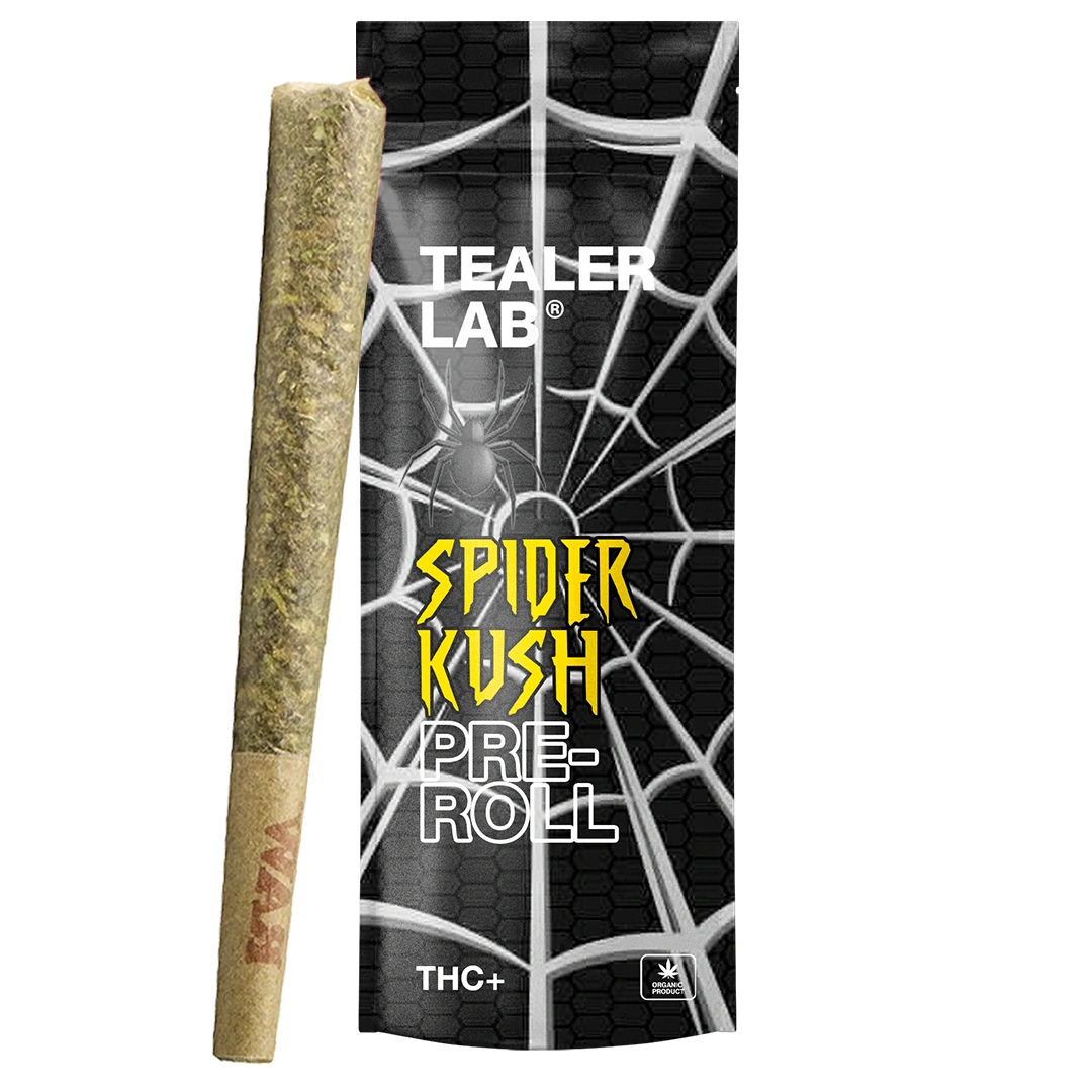 Pack Prerolls spider THC+