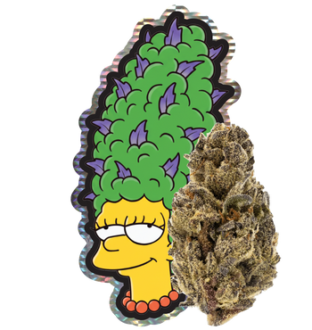 Marj'Haze 26% THCA