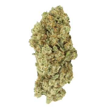 Fleur du démon CBX