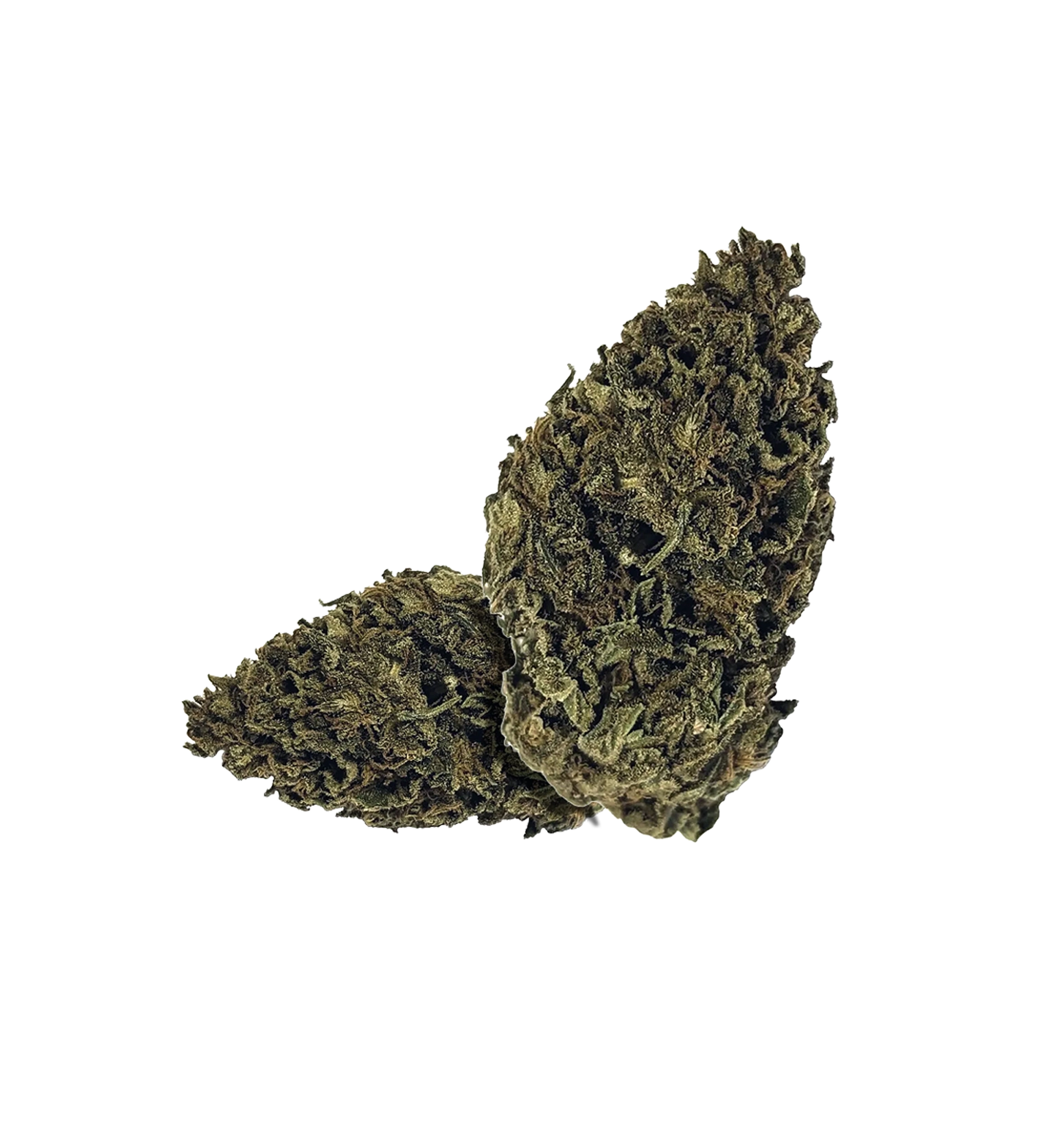 M&M'Haze THC+